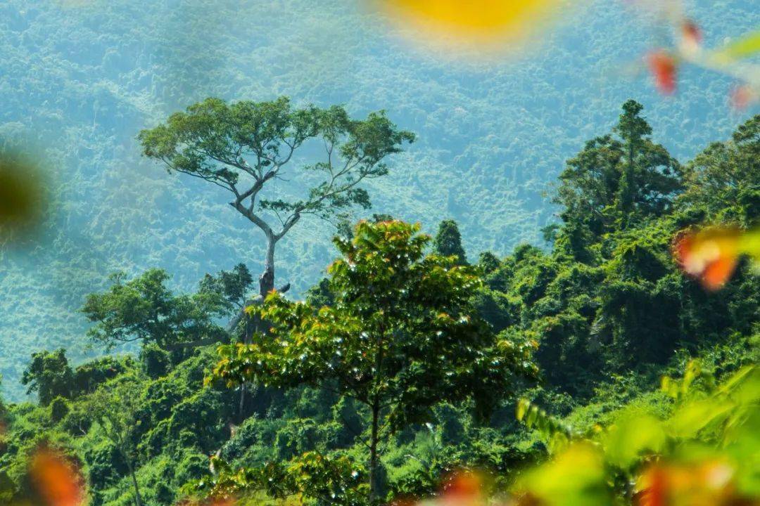 这的笔顺，引领你踏上自然美景的探险之旅