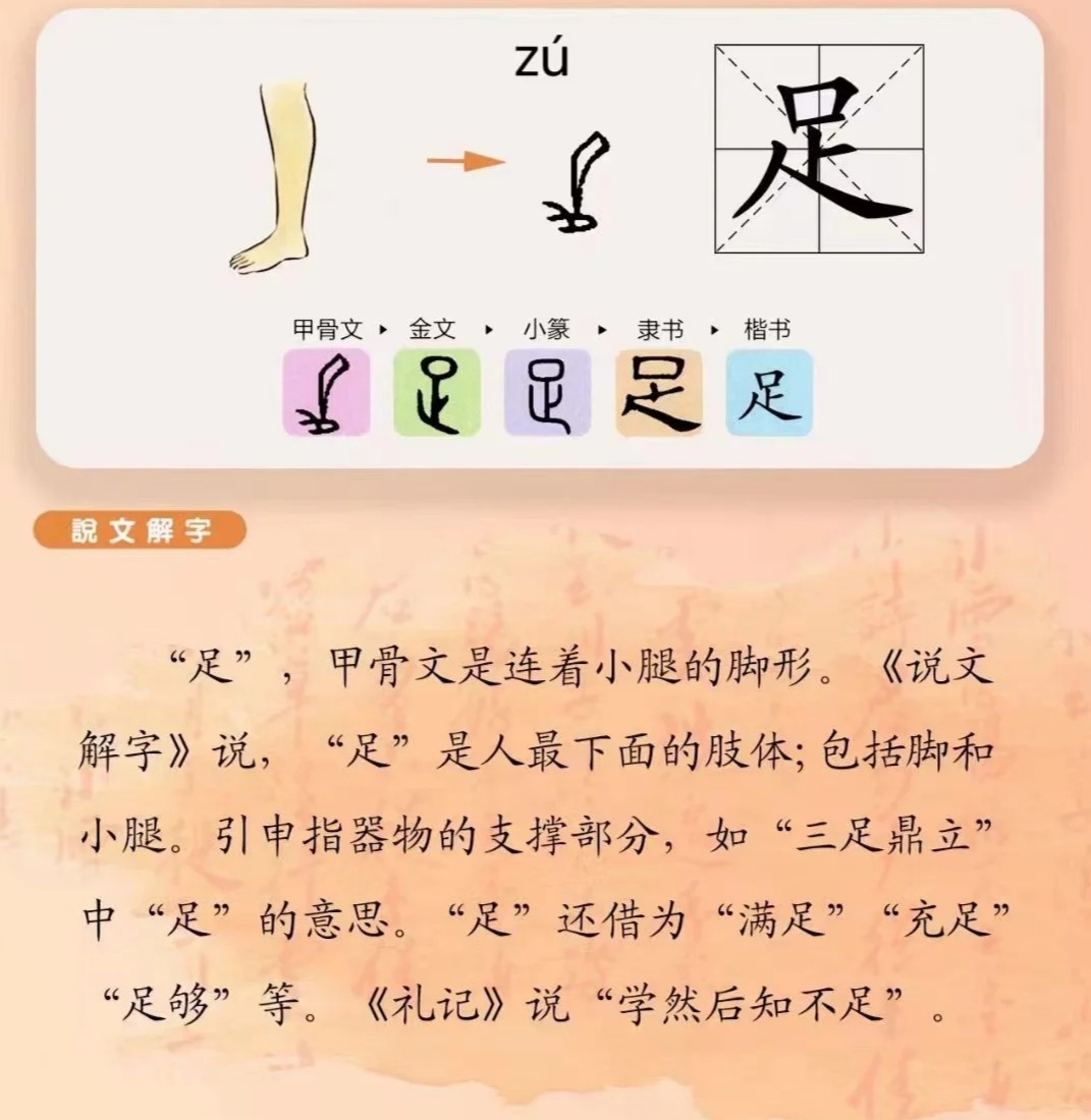 足字组词，探寻汉字中的足部奥秘