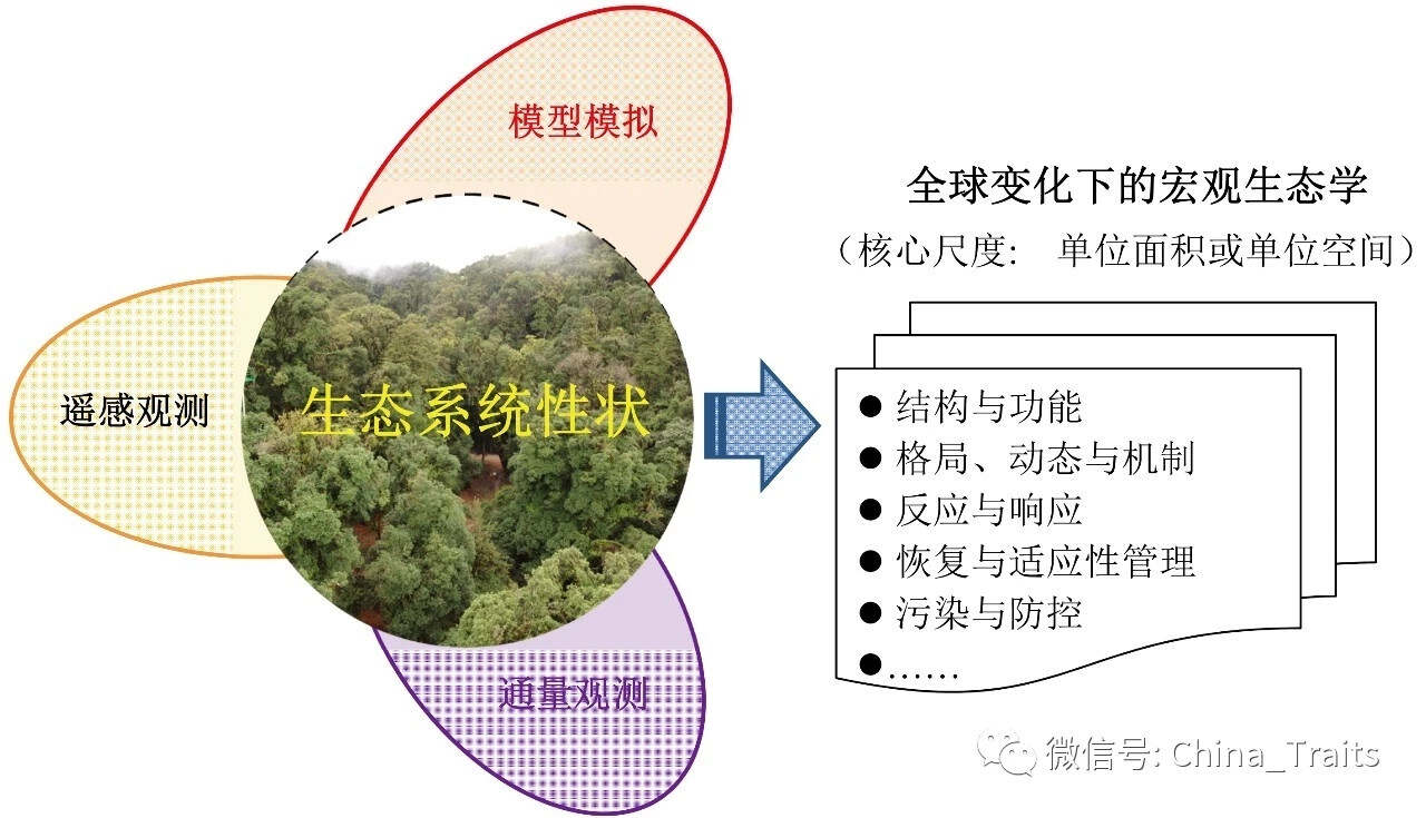 生态学的演变与影响，从背景到现代地位