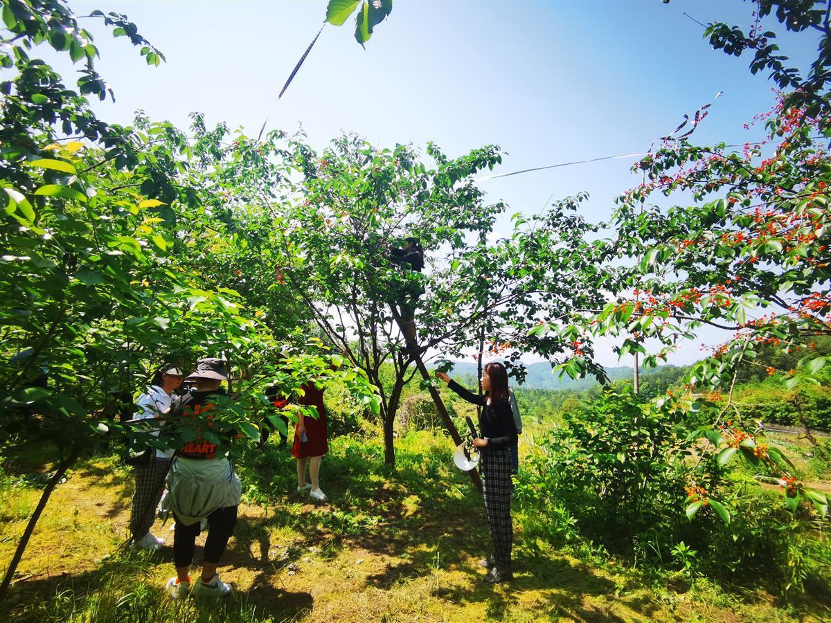 县组词组，背景、重要事件与地位