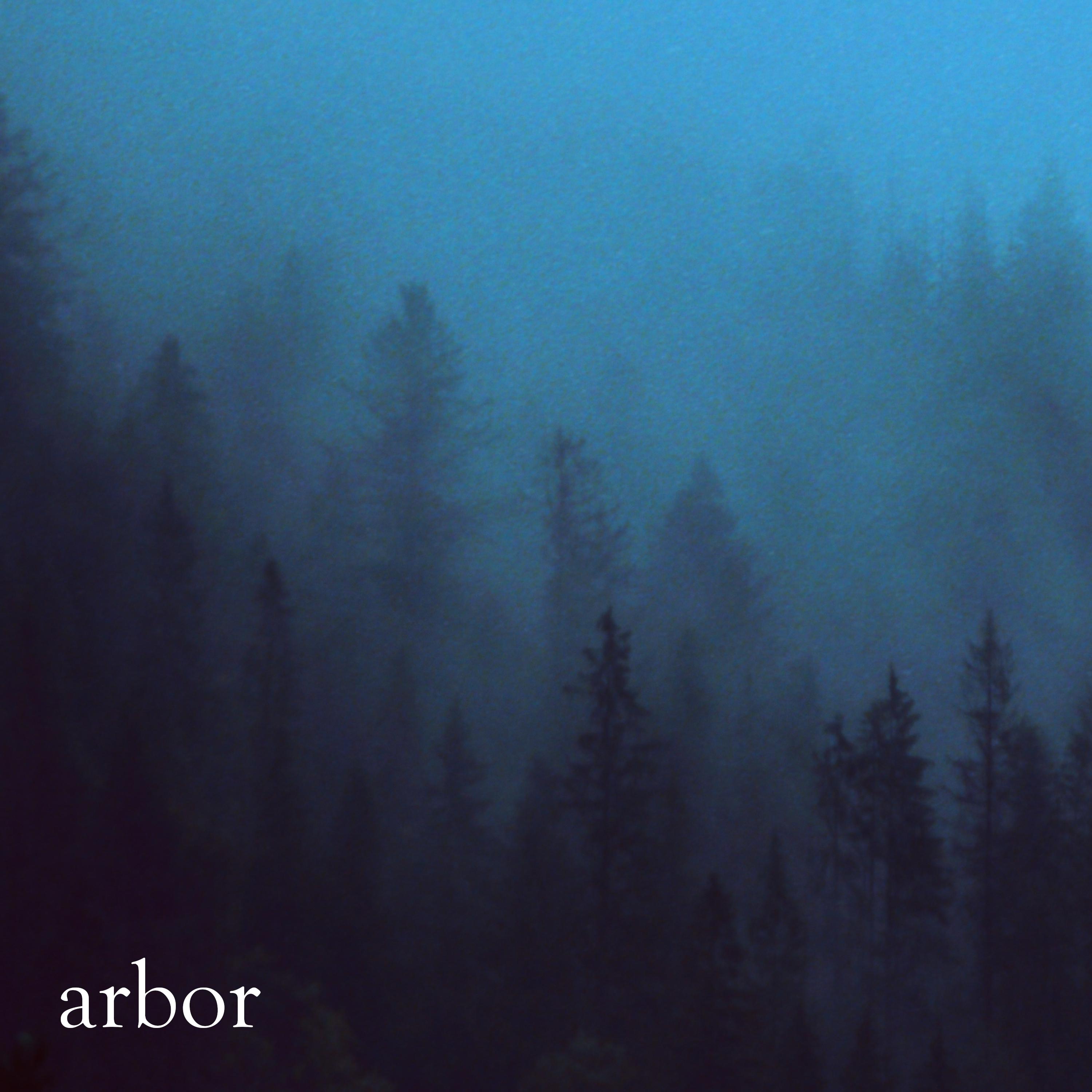 ARBOR，探索树木的奥秘